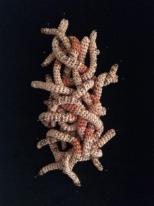 Earthworms